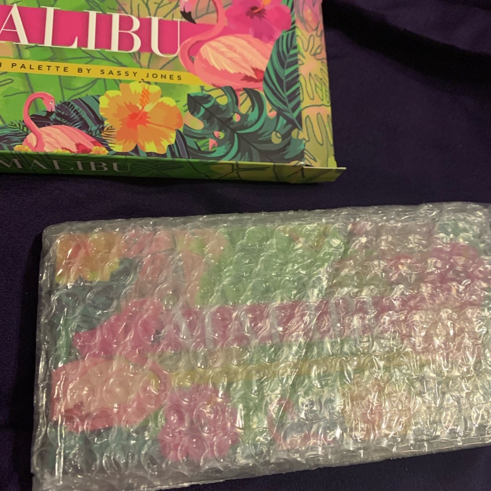 Sassy Jones Malibu Blush Palette - Brand New! - Picture 9 of 9